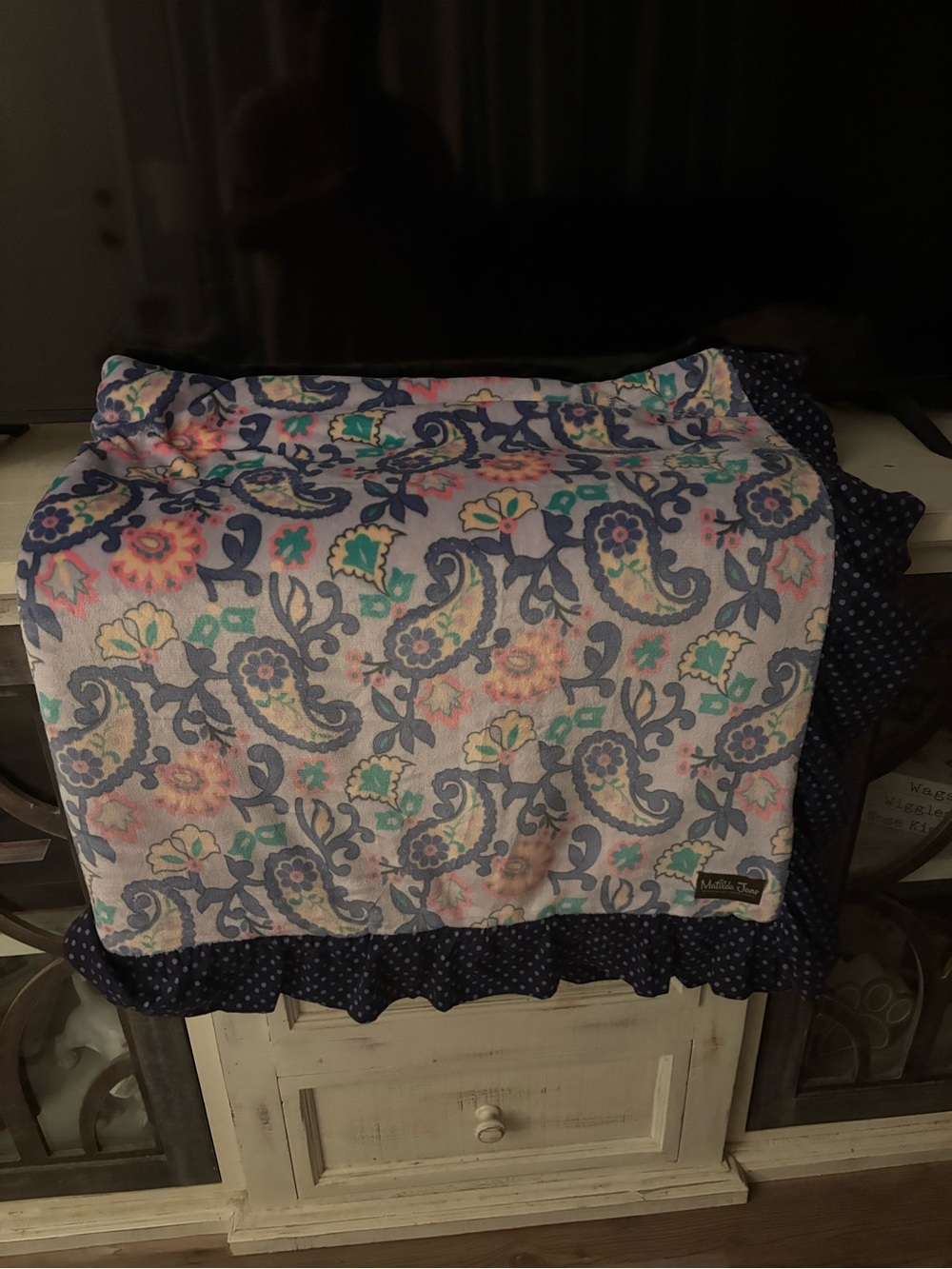 Matilda Jane Floral Paisley Throw Blanket in Navy, Pink, Teal